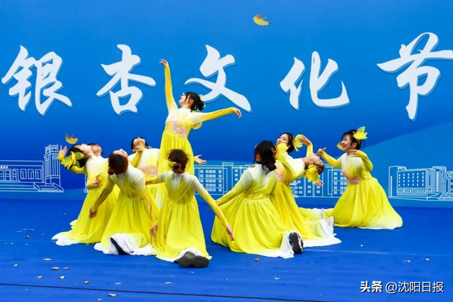 沈阳南部高校藏着不一样的秋日浪漫！不只赏银杏，还有～