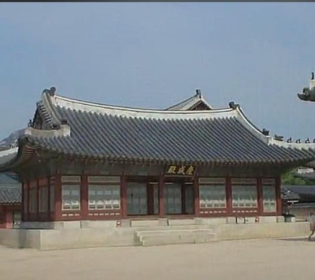 大川至首尔：海外一场跨越山海的逐梦之旅