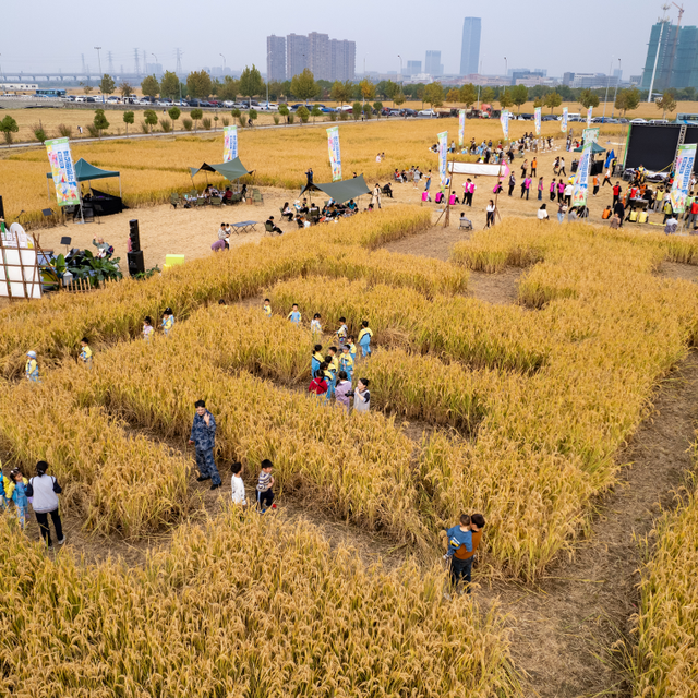 倒计时1天！来稻田CBD，觅都市桃花源