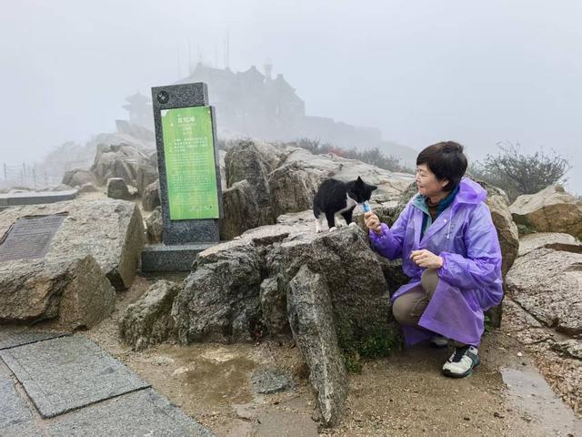 四十七年后著名主持人敬一丹再登泰山 “人生需要仪式感”