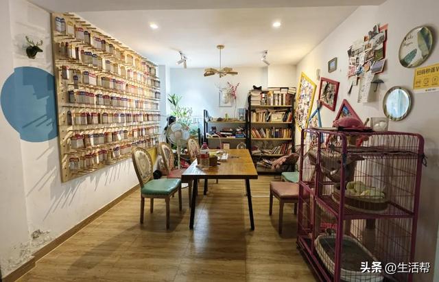 拒绝35岁中年人的青旅，00后也不住了