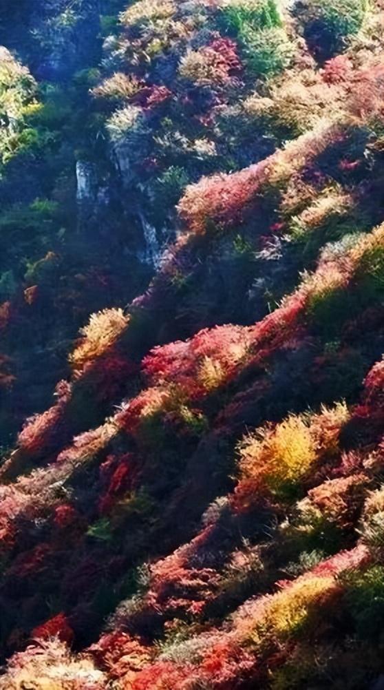 解锁宝藏小城的秋日浪漫——美景篇（二）
