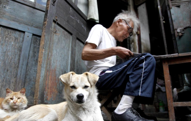 机械宠物也能葬礼？情绪服务升级，宠物经济迎来高质量发展新时机