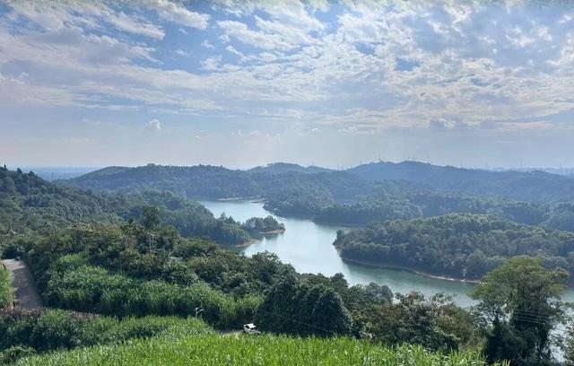 成都西门1h小众免费徒步地，野趣十足、值得N刷！