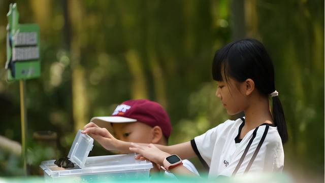 抓住暑期的尾巴！超多学子来到了鼎湖这里……