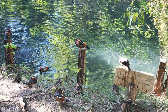 趁秋日暖阳，来八大处感受与自然共处的温柔→