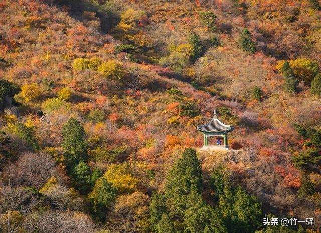 Deepseek和百度AI共同推荐北京红叶区：到北京旅游至少要去三个。