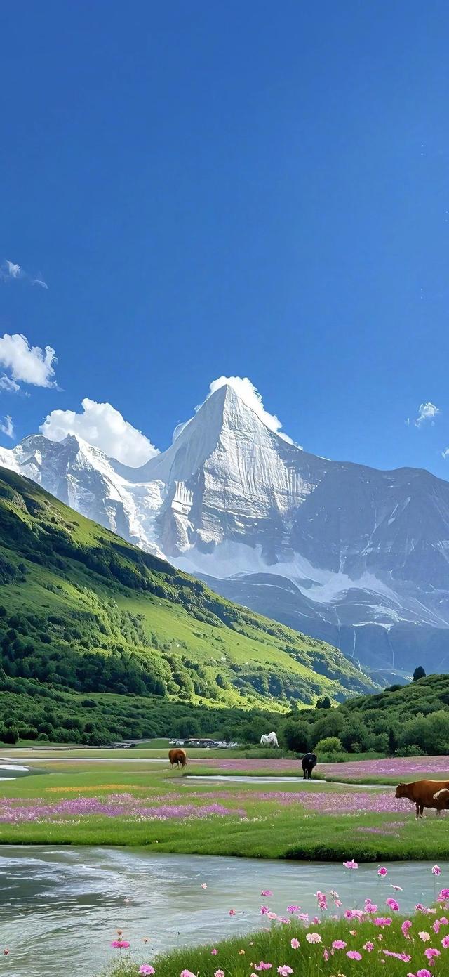 风景壁纸已送达