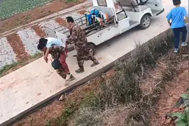 扫完墓半路昏迷！这种东西千万别随意碰！严重可致命图片