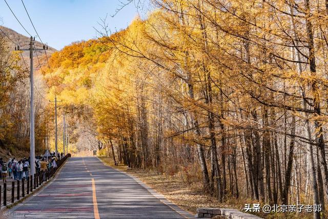 周末逃离人潮！京郊“小喀纳斯”喇叭沟门赏秋指南
