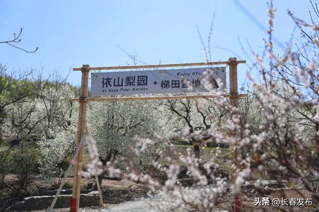 走进长春！150个网红打卡地之百年梨园