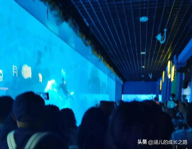 最新天津极地海洋馆一日游攻略——亲测实用!所有演出都可看完!