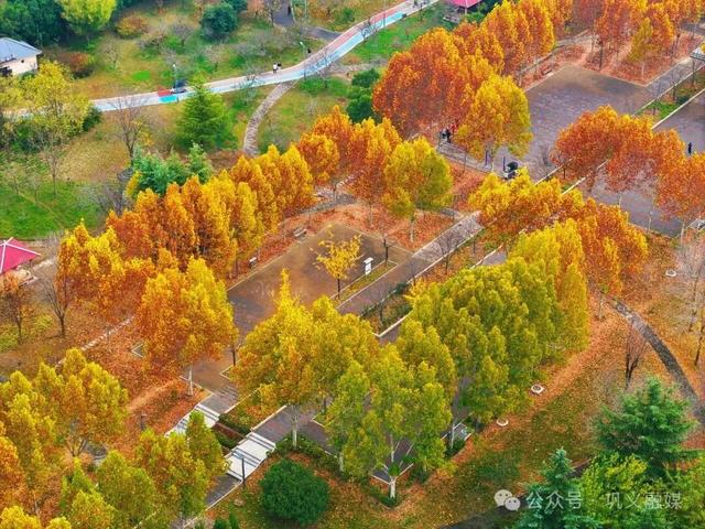 五彩斑斓！巩义市区这个宝藏打卡地迎来颜值巅峰→