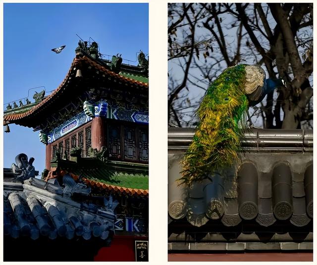 菩提岛春节假期马力全开，游客打卡点赞新春海岛游