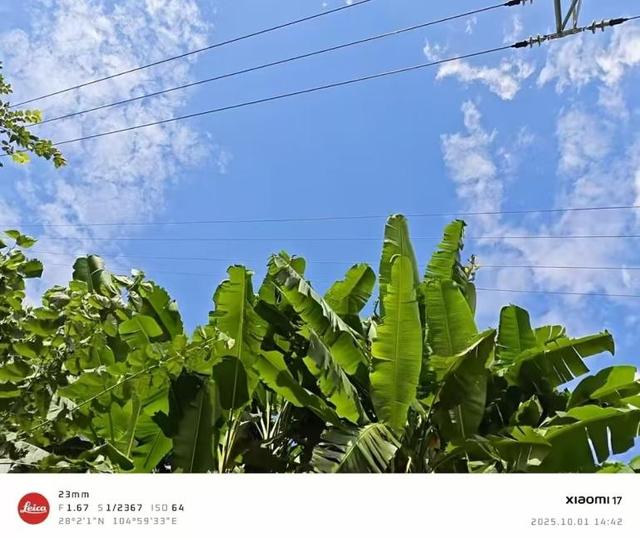 在唯品会免息拿下的小米17，不黑不吹说说使用感受