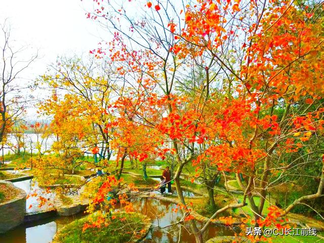 河南淮滨：金秋走读淮河展秀美