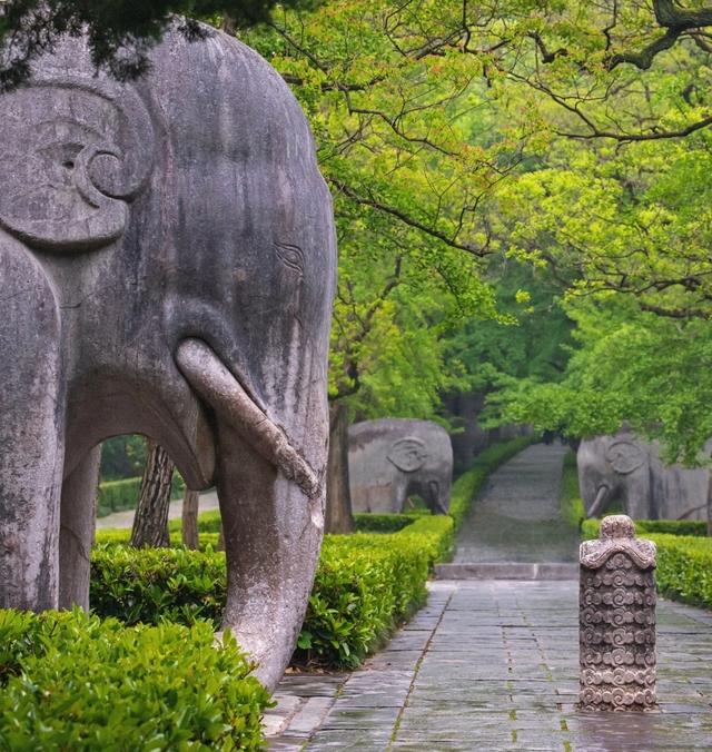 逛明孝陵走石象路，见六朝古砖载石兽还赏斑驳光影