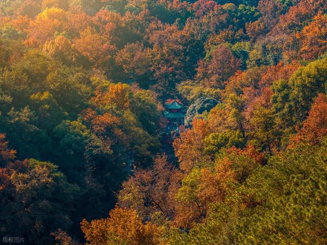 接下来，长沙的天花板级秋景在这里！一年中的颜值巅峰期，美哭！