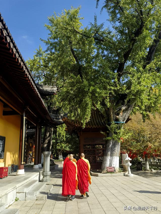 镇江三山一渡中，焦山是我的盘中菜，历史文化底蕴更为深厚