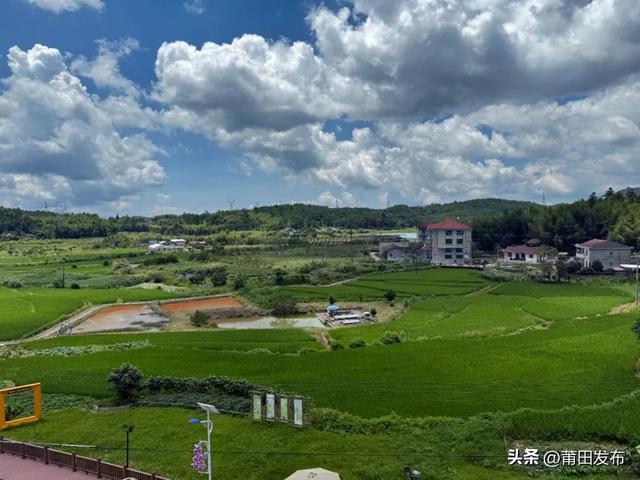 莆田仙游梅洋村，藏着深山里的民宿集群