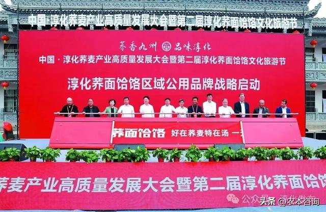 淳化为啥会成为陕西县域高质量发展的样板？