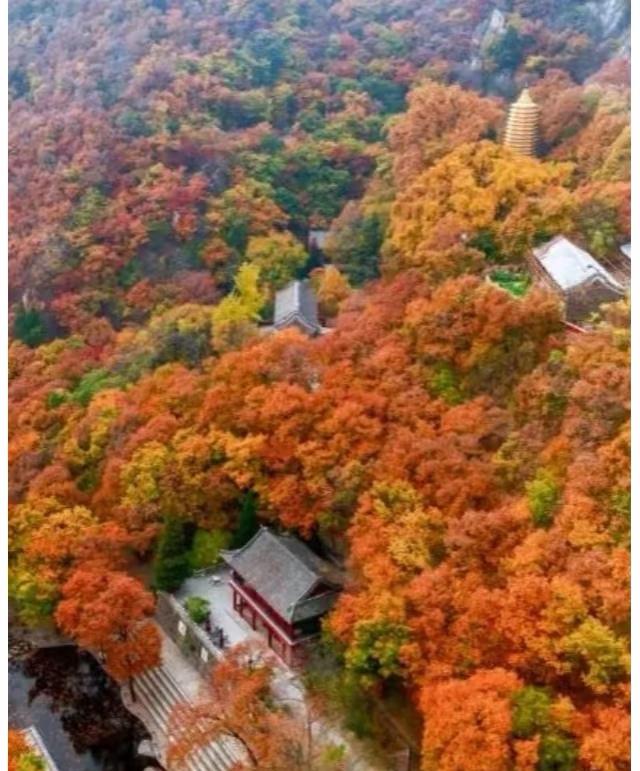 我是大同人刚从天津蓟州回来憋了6个疑问不吐不快