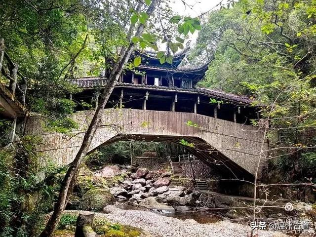 远上乌岩岭上斜,白云生处白云尖!温州这处秋日美景值得一去!