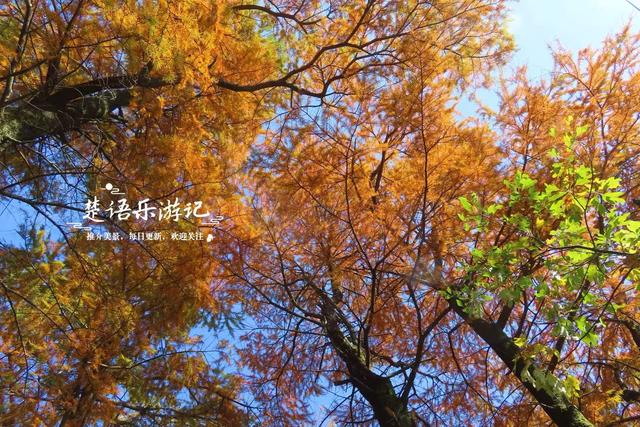 浙江宁波的深山古村，既是世外桃源又是赏秋胜地，像打翻的调色盘