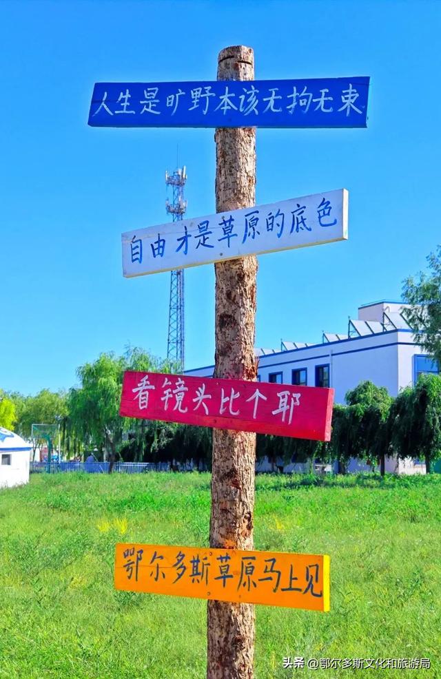 银发乐游线路：杭锦旗慢游深体验