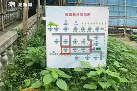 单价11万元！宝石山下带院子民居挂牌后火速成交图片