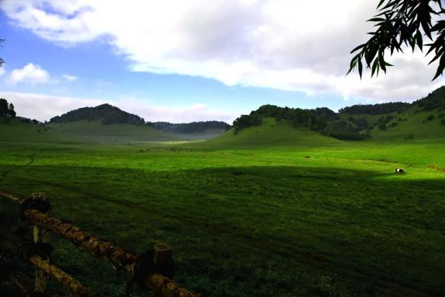 雨洗关山，草原焕新｜快来关山草原“吸氧”吧！