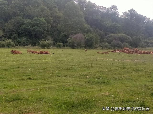 西安黑河森林公园，周至老县城游玩心得真实体验