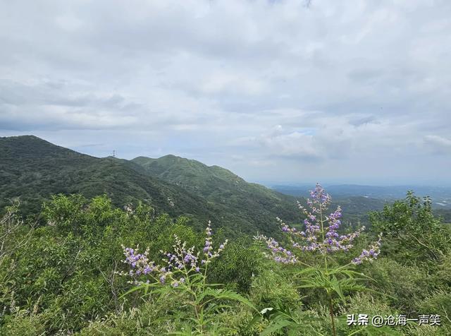 我喜欢大山的连绵，我喜欢大山的幽深，我喜欢大山的凉爽，您呢？