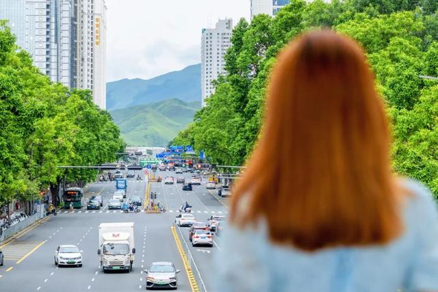 又双叒叕出片了！网友：新疆的票我退了，找到了深圳版“阿勒泰”！