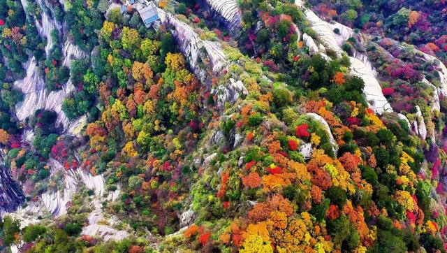 还能去哪儿赏最后一波秋色……