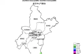 预计武汉将在7月中旬末前后出梅图片