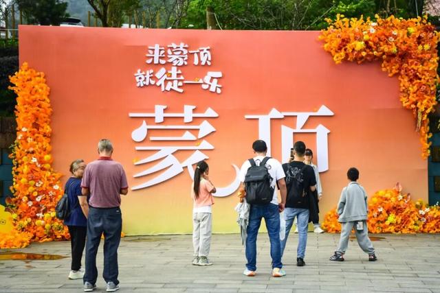 黄了！成都出发1.5h刹拢赏秋秘境，茶海风光无敌，银杏美了上千年！