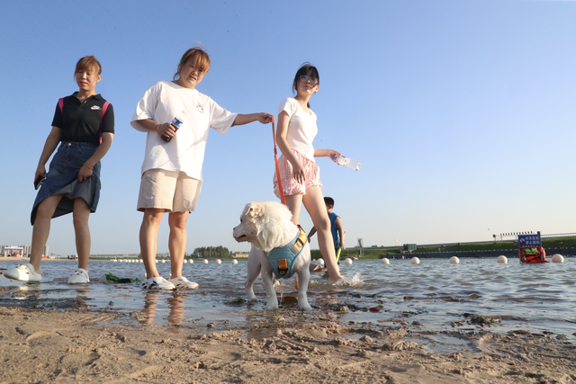 26日起，37天狂欢！水幕光影秀×粉沙滩×音乐喷泉，等你来~