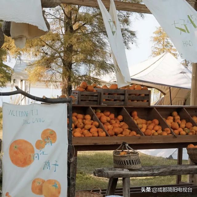 邀您跨年！荷桥“村糖”奇旅上线→