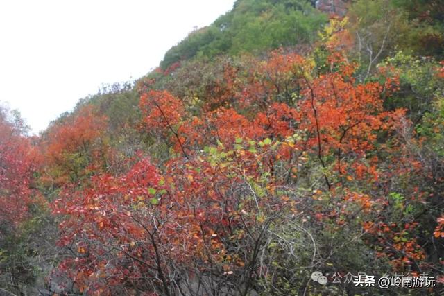 从西安出发，蓝田免费的4A级景区，爬山登高看秋景样样都很美！