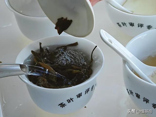 史上最全普洱茶盖碗冲泡测评！不同普洱茶怎么泡最好喝？