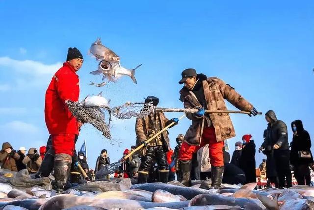 冬季趣体验 玩冰到白城|白城冰雪季系列活动期待与您相约！