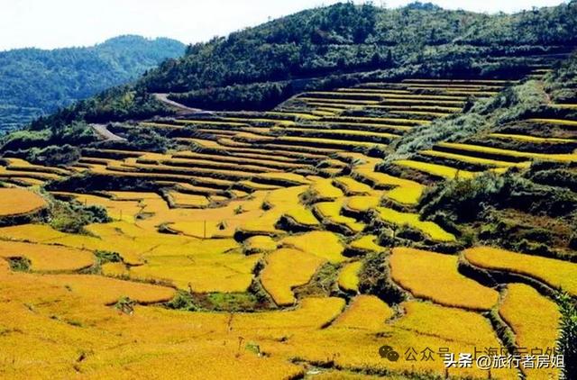 徒步奉化大雷山，古村、古道、梯田、秋景全部包揽