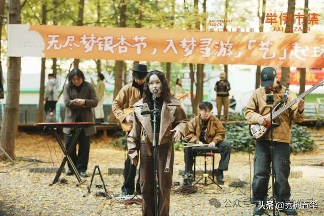 赏银杏、会海鸥，邂逅一场丰容的“昆明式暖冬”