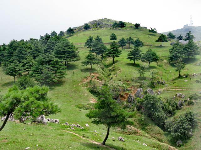 湖北宜昌：迷人的的百里荒大草原，这些发现，是锦上之花