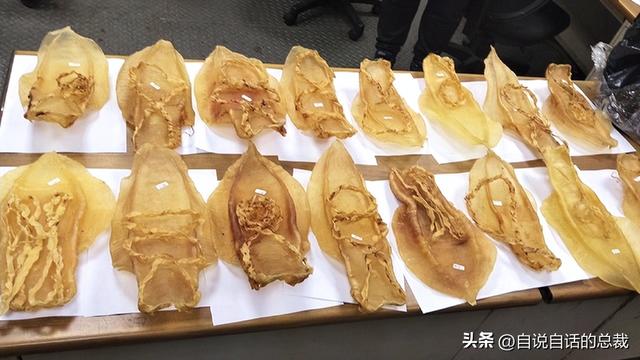 最贵的花胶多少钱一斤 2026年全世界最贵的花胶