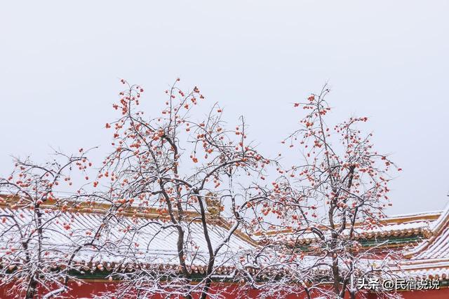 别空跑啦，雪后的北京故宫已约满。