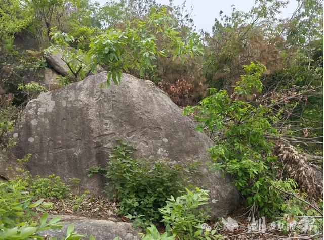 麻城张家畈镇余家河村：古韵新颜 绿富同兴