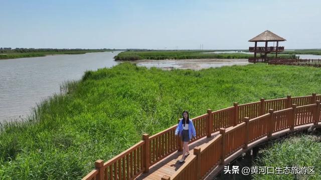 黄河口七夕漫游指南：与你赴一场湿地飞鸟与落日的浪漫之约