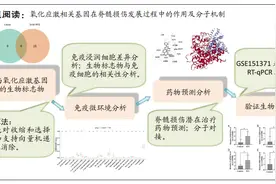 脊髓损伤后氧化应激相关基因及分子机制：基于GEO数据库的数据分析及验证图片